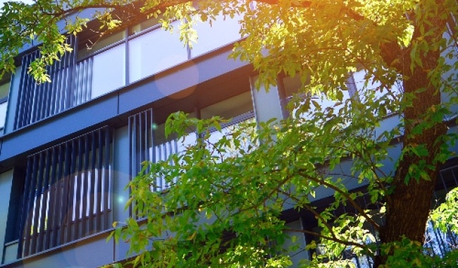 Montenegro showcases green transition progress